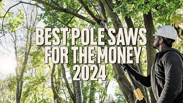 Best Pole Saws For The Money 2024 Forestry