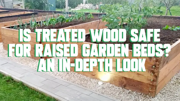 Is Treated Wood Safe For Raised Garden Beds