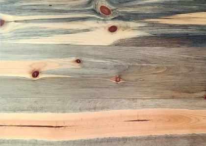 Beetle Kill (Blue Stain) T&G Micro Bevel Ponderosa Pine Unfinished