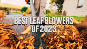 Best Leaf Blowers of 2023