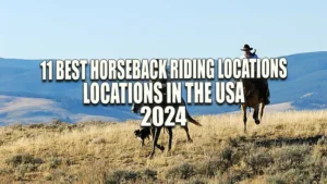 Two horseback riders in cowboy hats and a dog trotting across a dry grassy field with rolling hills in the background under a clear sky.