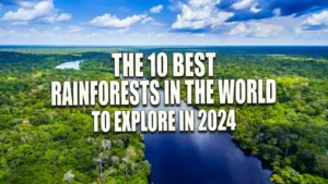 Aerial view of a serene river cutting through the dense, vibrant canopy of the Amazon Rainforest under a dynamic sky, highlighting the vast and pristine natural environment.