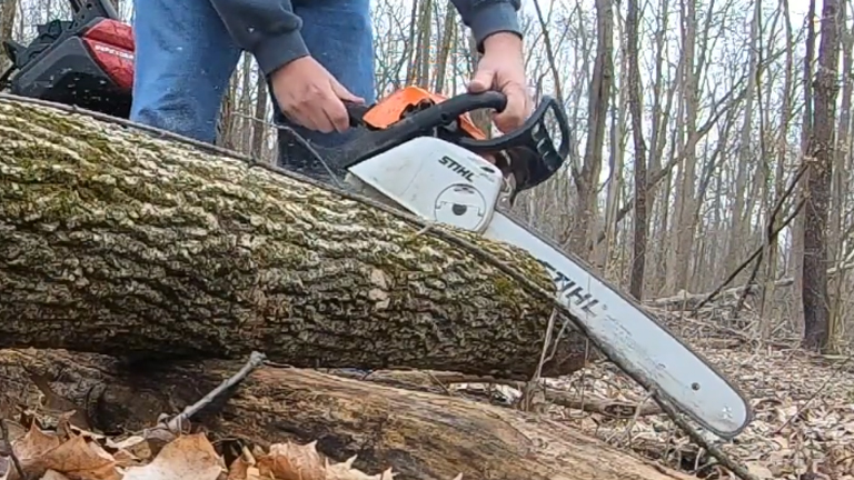 Person using a Stihl MS 211 chainsaw to cut a fallen tree in the woods