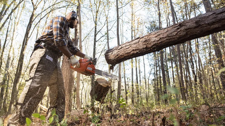 Man cutting in the woods using 460 Rancher