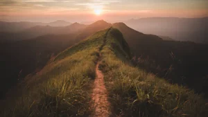 How to Set Up a Forest Trail for Hiking