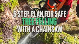 5 Step Plan for Safe Tree Felling with a Chainsaw