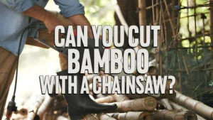 Can You Cut Bamboo With A Chainsaw?