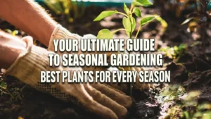 Hands wearing gardening gloves tenderly planting a young sapling in sunlit soil.