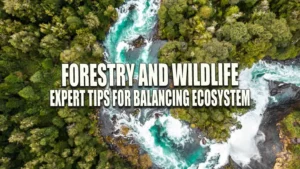 Aerial view of a vibrant forest with a winding river featuring turquoise rapids and small waterfalls, surrounded by dense greenery.