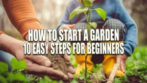 An adult's hands and a child in yellow boots planting a young tree together in the garden, illustrating a moment of learning and cooperation in nature.