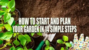 A top view of garden soil with young plants in pots, a garden trowel, and a pair of colorful gardening gloves ready for planting.