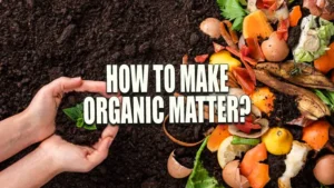 A person's hands forming a heart shape over fertile soil with various compost materials such as vegetable peels, eggshells, and fruit scraps visible on the surface, symbolizing love for sustainable gardening practices.