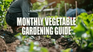 A gardener in a wide-brimmed straw hat kneels in a vegetable garden, planting young plants in fertile soil, with sunlight shining through lush green leaves.