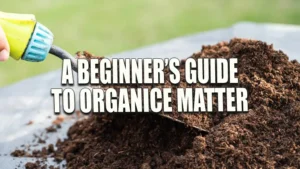 A garden trowel scooping rich, dark compost from a pile on a tarp, highlighting organic gardening practices.