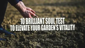 A person examines the quality of soil by letting it sift through their fingers over a freshly tilled field.