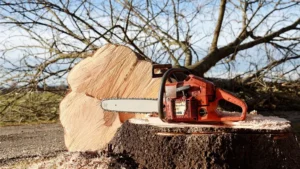 10 Essential Chainsaw Tips for Mastering Your Chainsaw