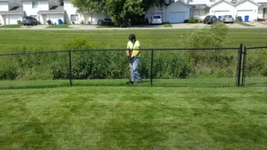 Tips for Trimming Weeds Along a Fence featured image