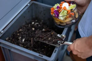 Pro Tips for Composting Success