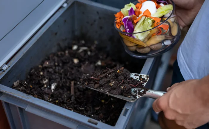 What Can You Put in a Compost Bin? A Simple, Clear Guide