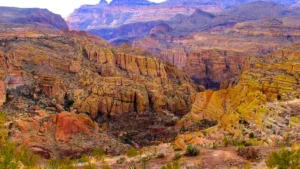 Tonto National Forest