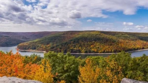 Allegheny National Forest