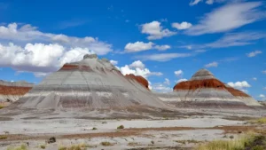 Petrified Forest National Park