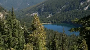 Coeur d'Alene National Forest