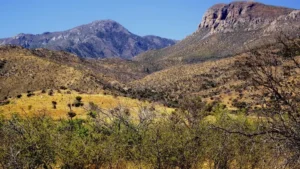 Coronado National Forest