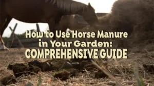 how to use horse manure in your garden