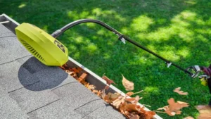 ryobi gutter cleaner