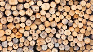 Close-up view of a stacked pile of cut logs with the circular ends facing outward.