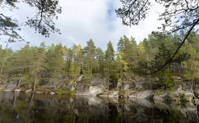 Community Concerns Over Forestry Practices in Langholm, Scotland