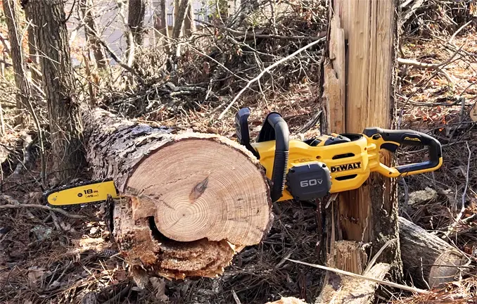 Dewalt 16 inch online battery chainsaw