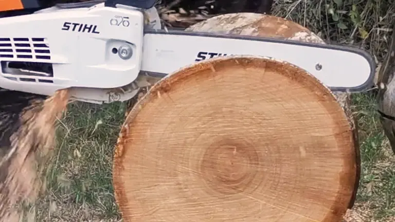 Stihl MS 201 TC-M chainsaw cutting through a large log