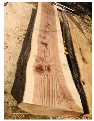 Willow Oak Lumber - Color/Appearance: 