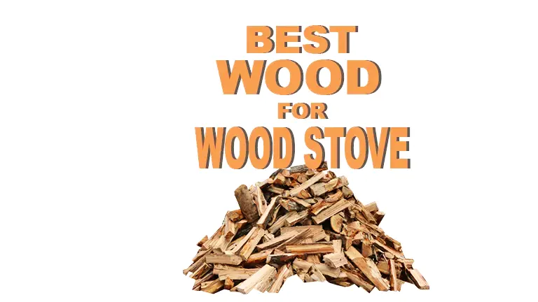 Best Wood for Wood Stove: Keeping the Flame Alive