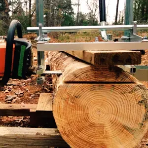 Hands holding freshly cut wood chips, indicating a dull sawmill blade