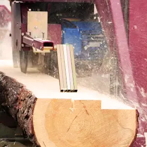 Sawmill blade in action, cutting through a large piece of wood