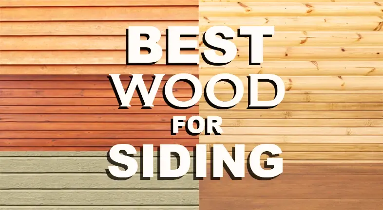 Best Wood for Siding 2024