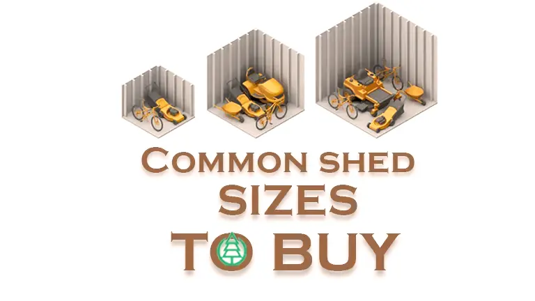 Common Shed Sizes to Buy