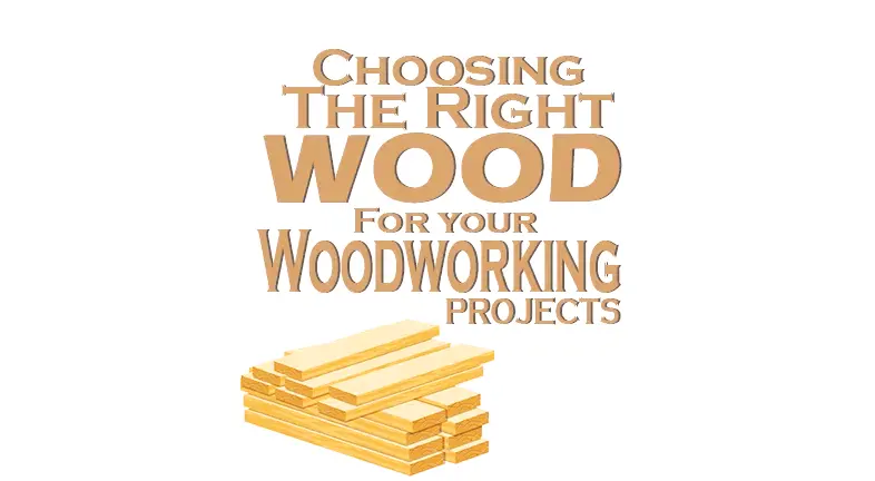 Choosing the Right Wood for Your Woodworking Projects