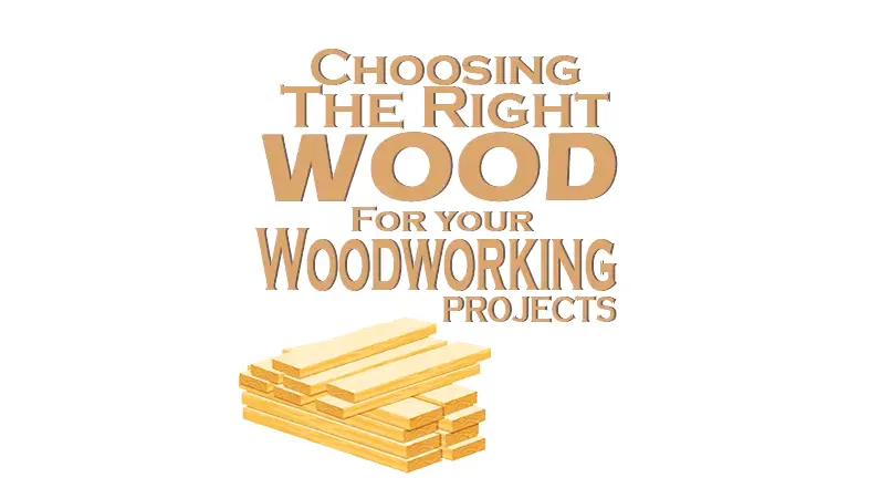 The Best Types of Wood for a Woodworking Project