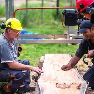 Two workers examining a sawmill blade on a piece of lumber