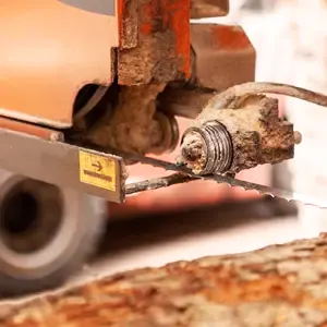 Close-up of a rusty and worn sawmill blade attached to a machine, indicating the need for replacement