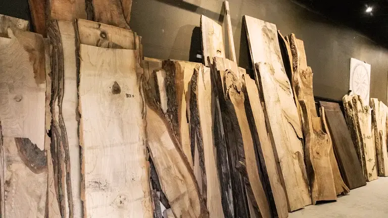 Display of unique, raw wooden slabs standing against a dark background in a showroom.
