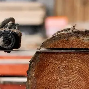 Close-up of a worn sawmill blade cutting through a log