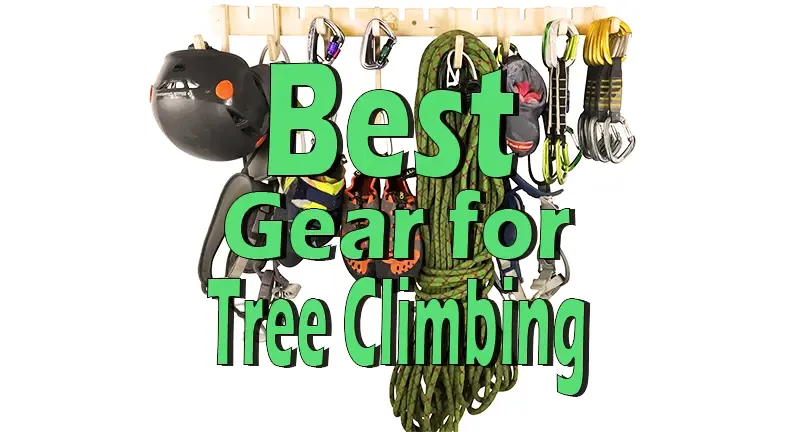 Best Gear for Tree Climbing