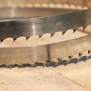 “Close-up of a sawmill blade with sharp teeth, indicating it’s in good condition