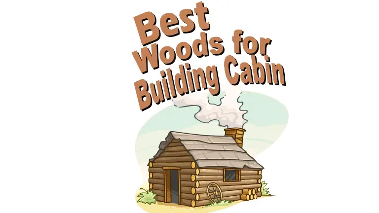 Best Woods for Building Cabin