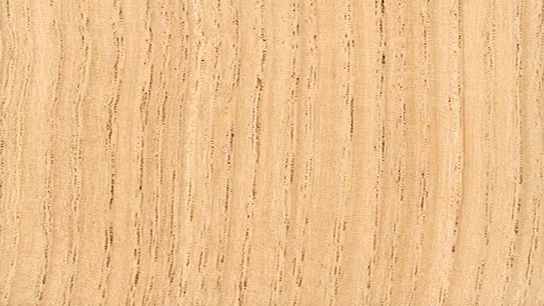 American Chestnut Lumber